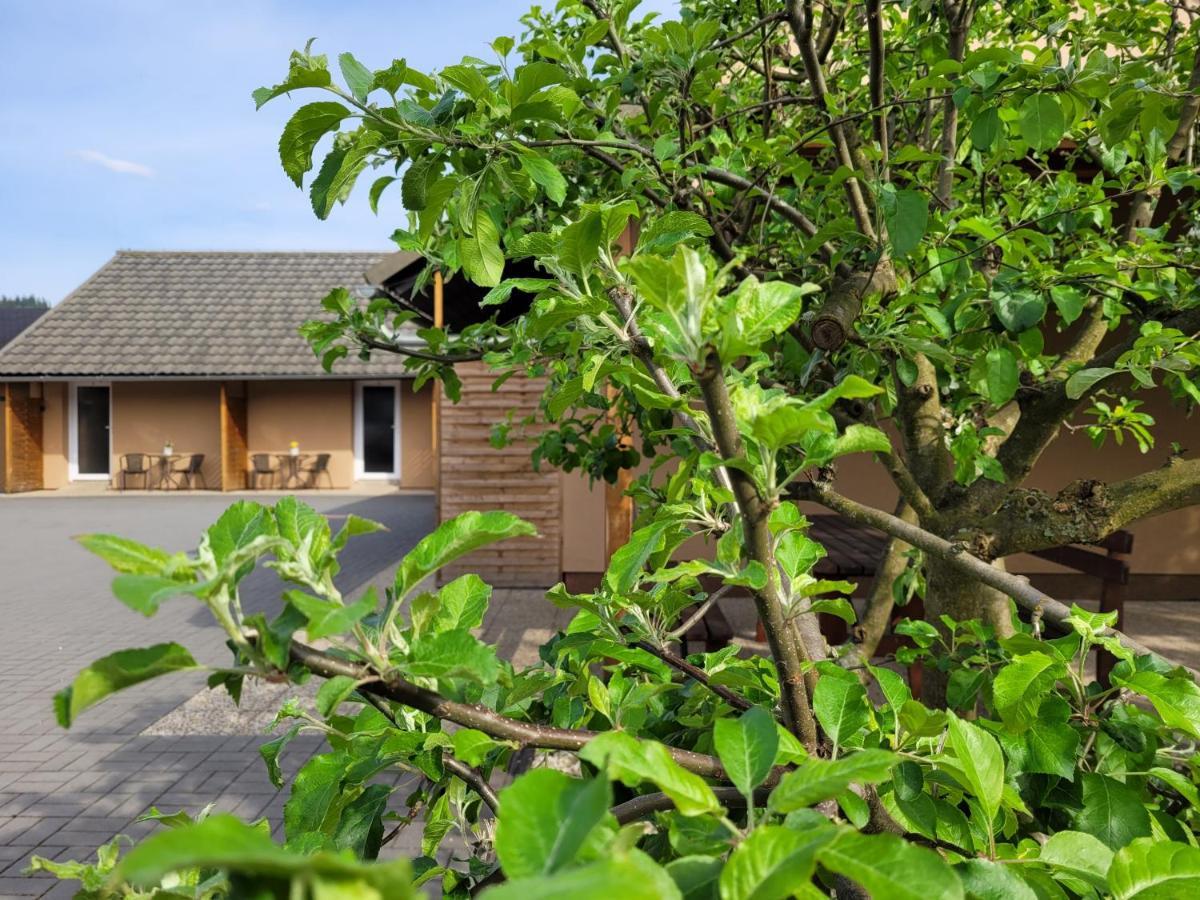 Apartmany Dolosin Velké Losiny Esterno foto